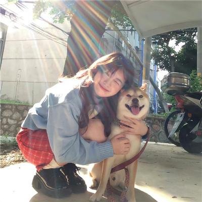 黄金拼图第二季